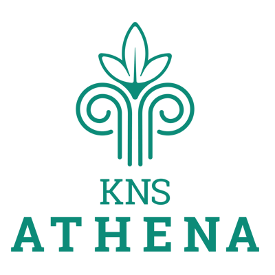KNS athena BMRDA Approved plots